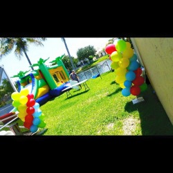 11214259 963912570310217 4410370923349468430 n 495744480 Balloon Columns