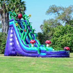 ENCHANTED20FOREST202020FT20SLIDE201 1769635898 20 ft Enchanted Slide
